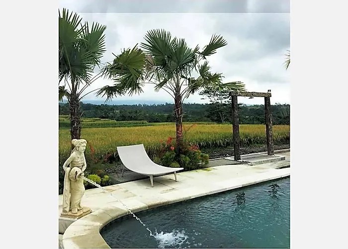 Ti Amo Bali ホテル Penebel