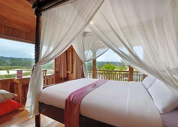 Ti Amo Bali 5* Penebel